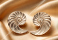 Pendientes plateados en forma de espiral
